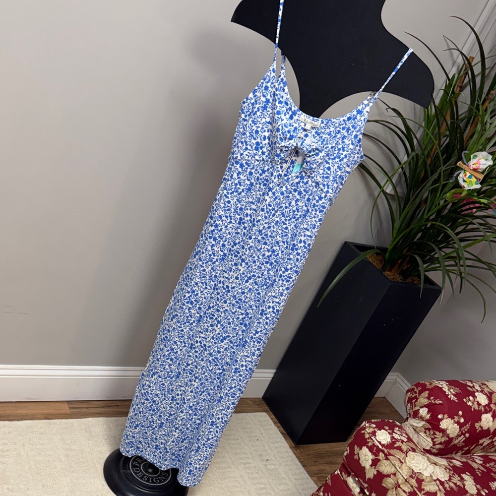 Z Supply Blue Floral Maxi Dress